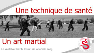 tai chi yang - Durant les 30 années avec Yang Sau Chung, Ip Tai Tak a acquis une immense compétence. Il est réellement devenu un maître de Tai Chi Chuan. Le Tai Chi Chuan de la Boxe du Serpent (appelé aussi style du Serpent) est son héritage avec son savoir. Le Tai Chi Chuan est un art martial. Son apprentissage commence par la lenteur pour intégrer les principes corporels qui le régissent et les gestes martiaux qui composent les enchaînements (coups de poings, blocages, esquives, coups de pieds, coups d’épaules…). Plus tard, des enchainements avec armes (sabre, épée, bâton) viennent enrichir la pratique. Toutes ces pratiques sont dynamiques et rapides, comme l’exige la réalité martiale.