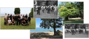 tai chi yang stage - Yang Tse organise des stages de Tai Chi Chuan pour découvrir et pratiquer la Boxe du Serpent (tous niveaux).